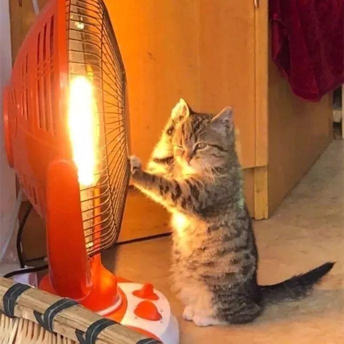 婆婆没听电工劝,结果真出事了…… - 扳手驿站 - 扳手会 - powered by